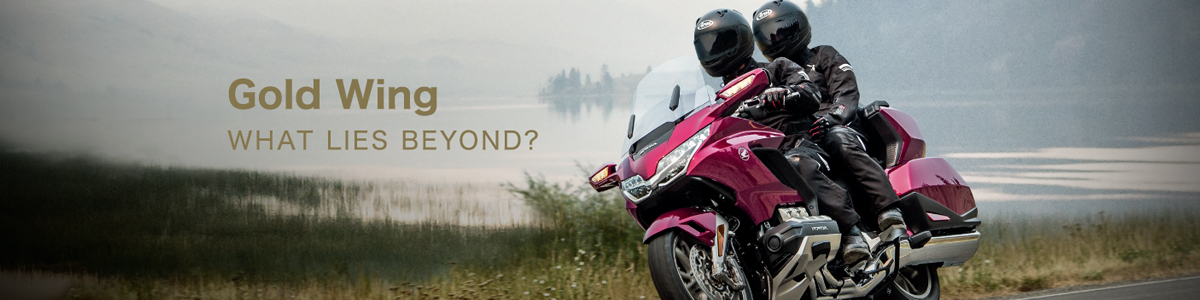 GOLD WING